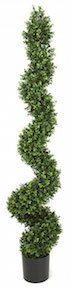 4 - 5 Foot Spiral Boxwood Topiary with Brown Steel Pole and Steel Frame